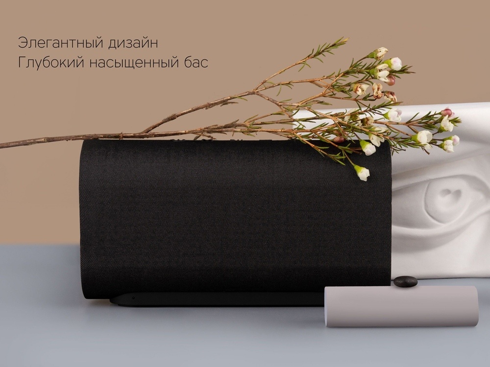 Портативная колонка Mysound Orion