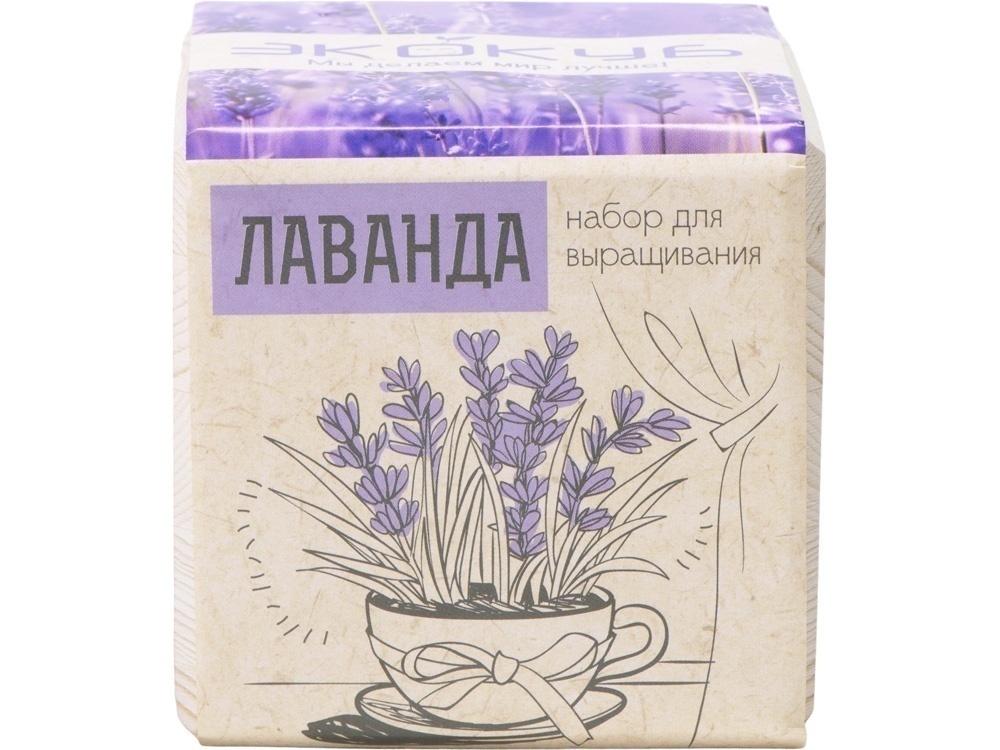 Набор для выращивания Базилик