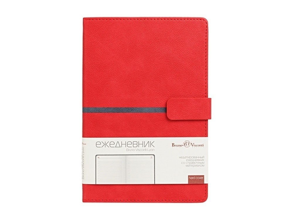 Ежедневник недатированный А5 Lyon