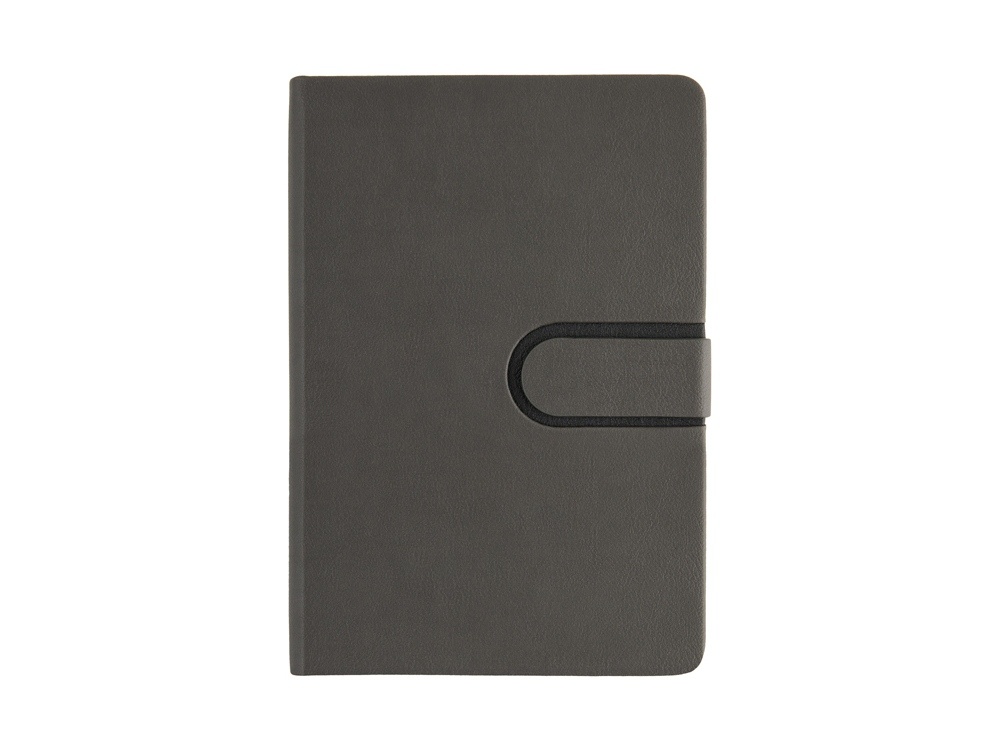 Ежедневник недатированный А5 Status