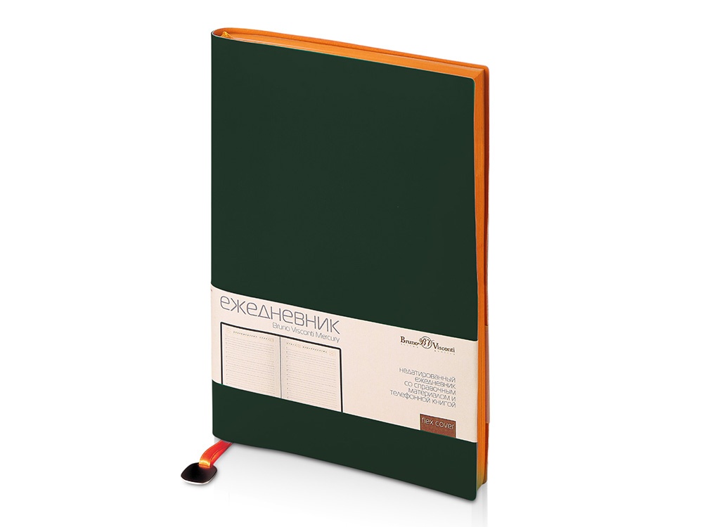 Ежедневник недатированный А5 Mercury
