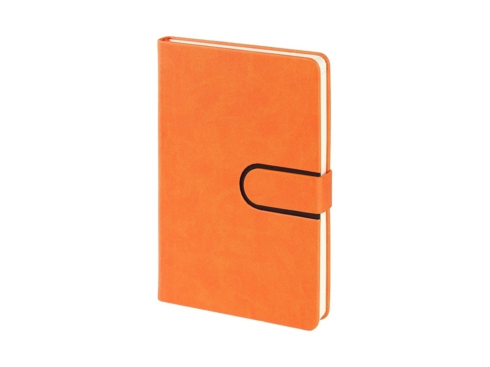 Ежедневник недатированный А5 Status