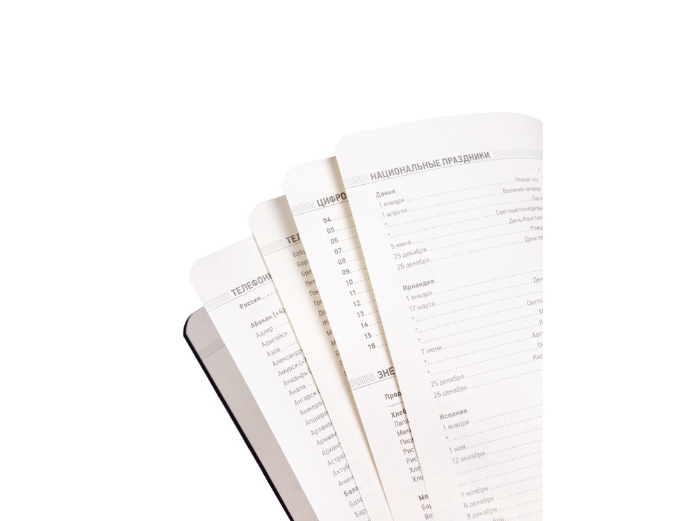 Ежедневник недатированный А5 Megapolis Flex