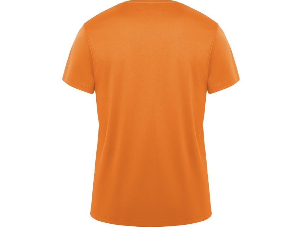 Спортивная футболка Daytona мужская