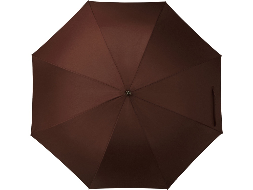 Зонт-трость Алтуна