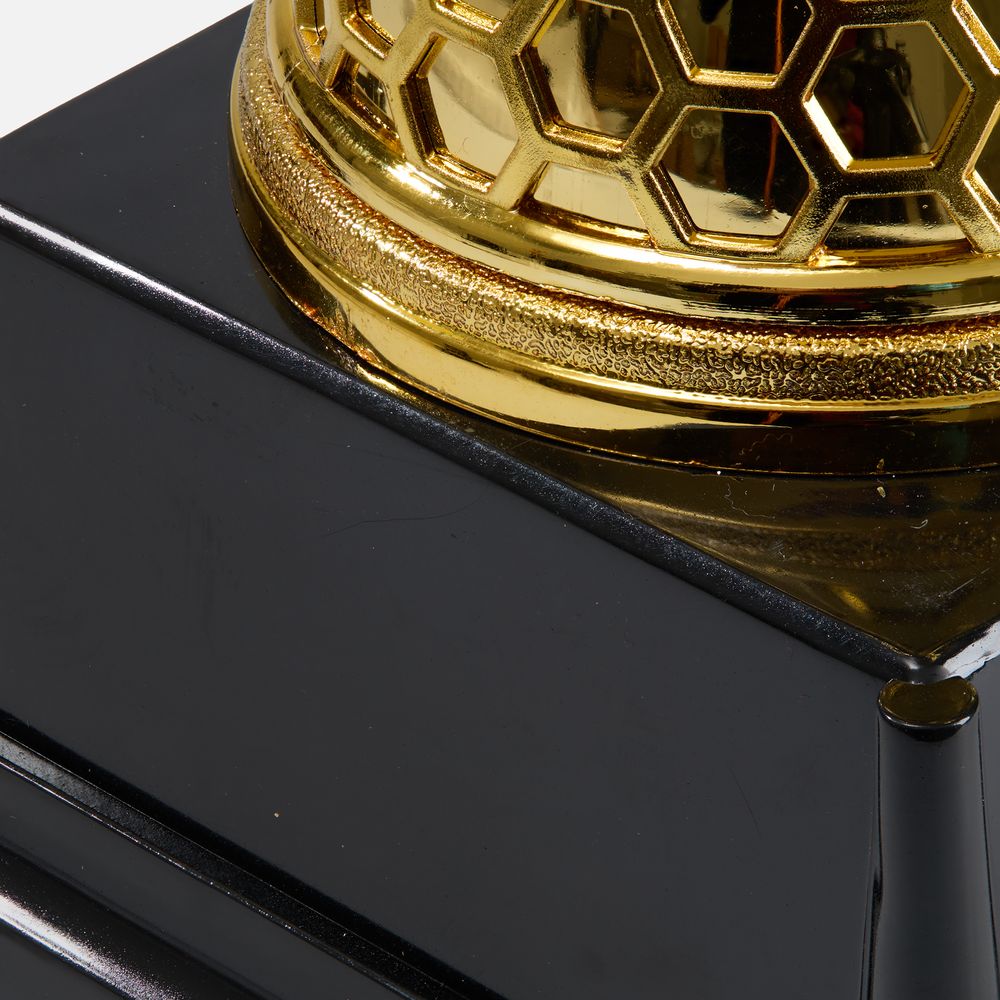 Кубок Meritus, большой