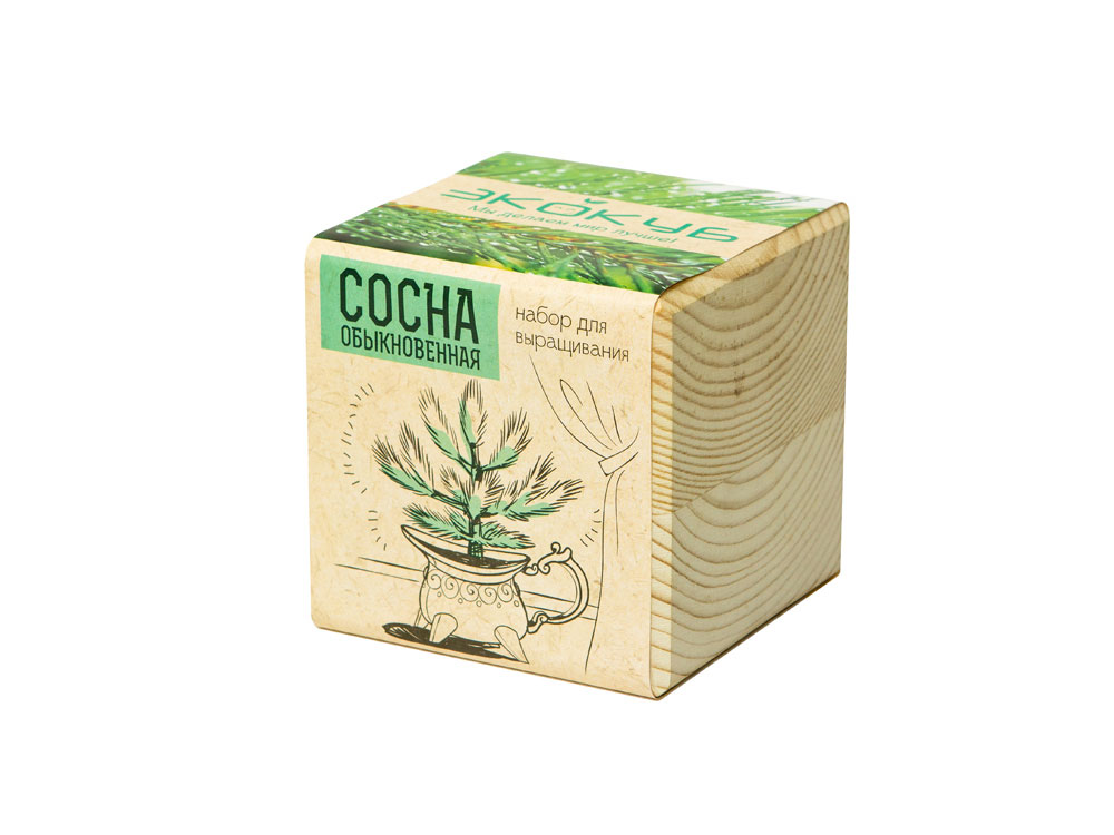 Набор для выращивания Базилик