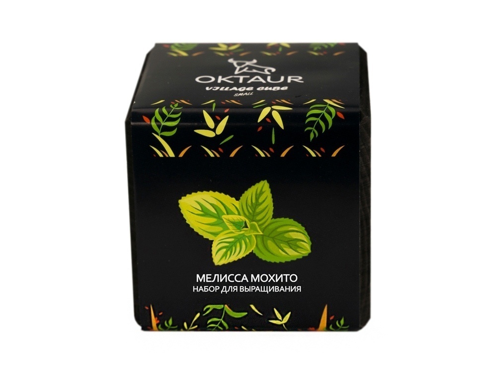 Набор для выращивания Small village cube Эхинокактус Альбинос