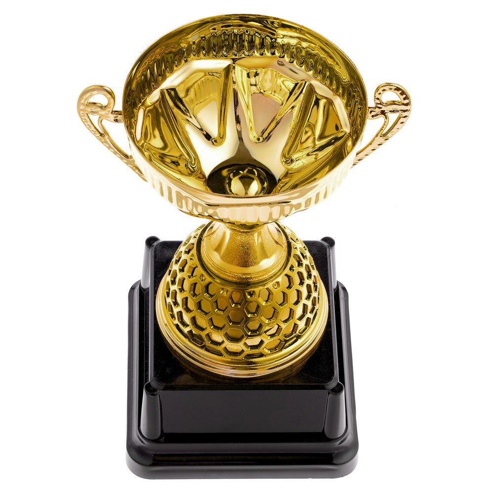 Кубок Meritus, большой