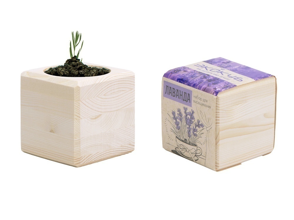 Набор для выращивания Базилик