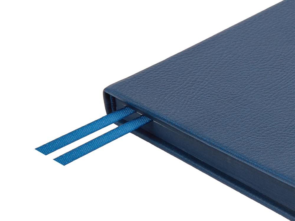 Ежедневник недатированный А5 Megapolis Nappa