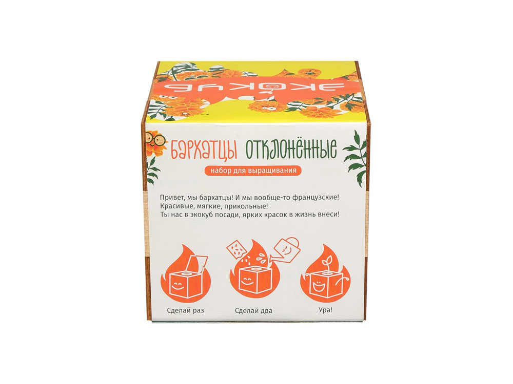 Набор для выращивания Мята