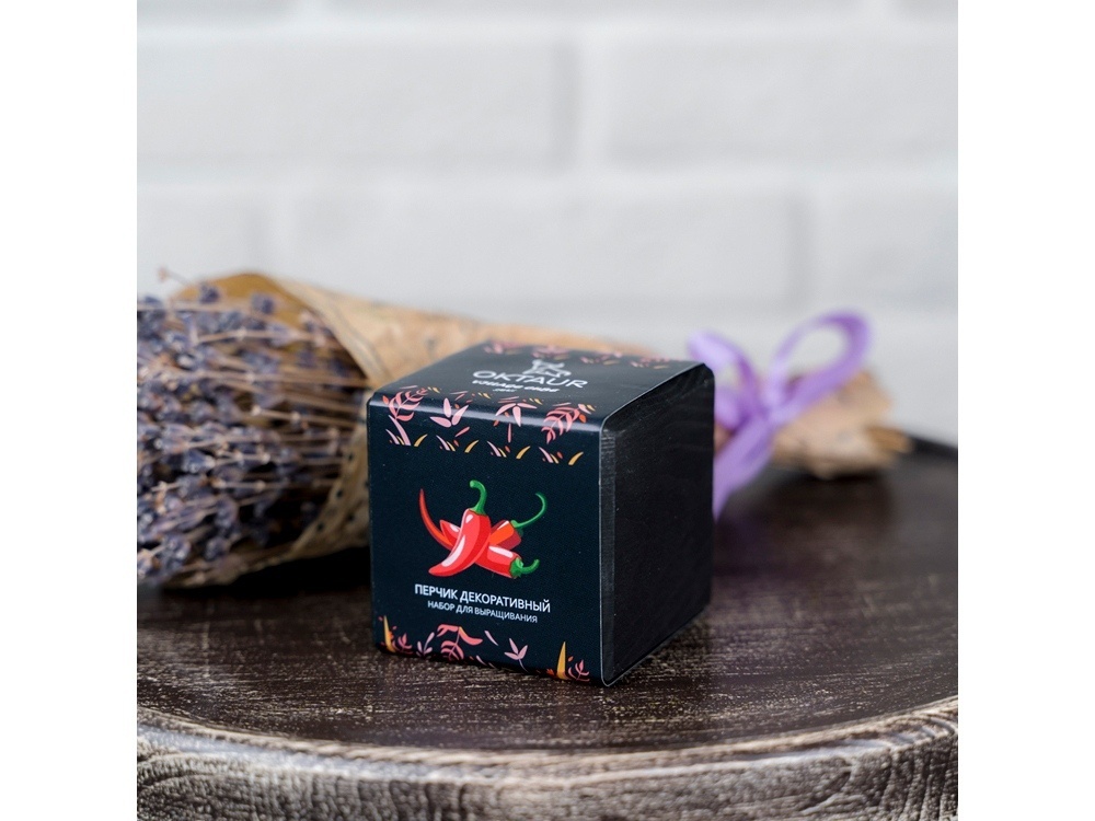 Набор для выращивания Small village cube Эхинокактус Альбинос