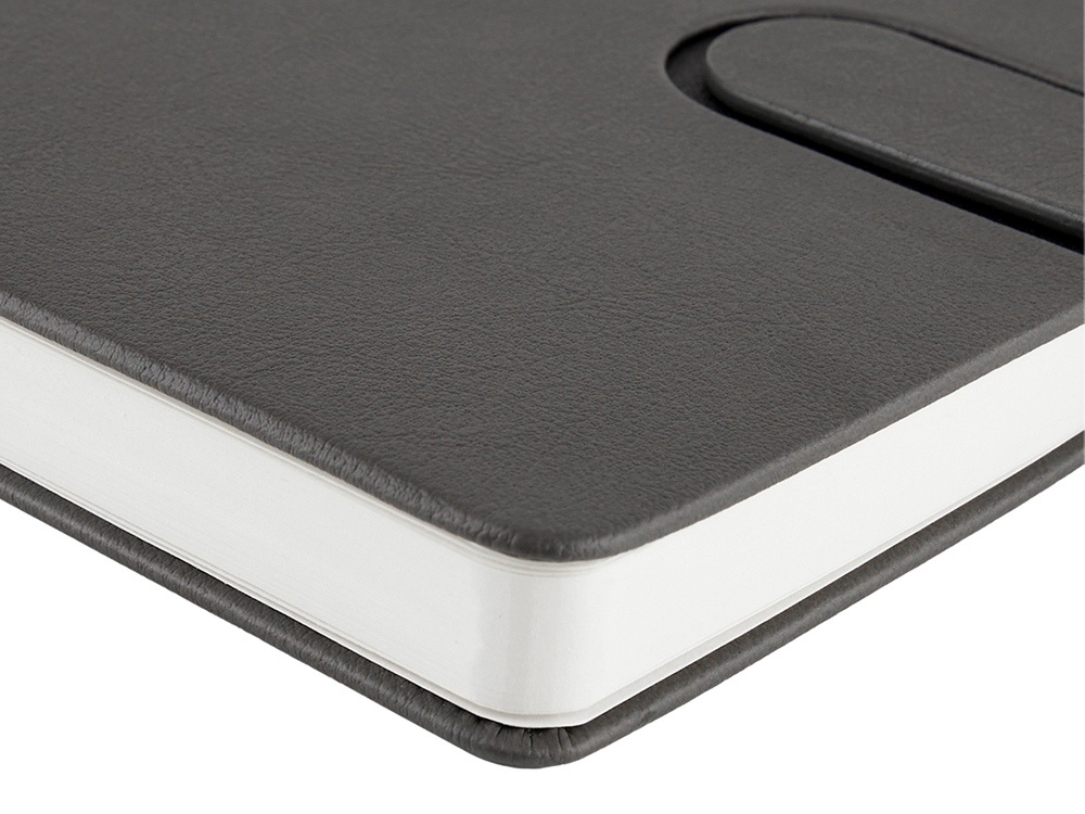 Ежедневник недатированный А5 Status