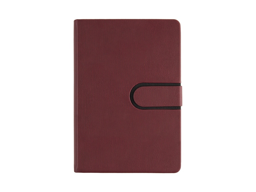 Ежедневник недатированный А5 Status