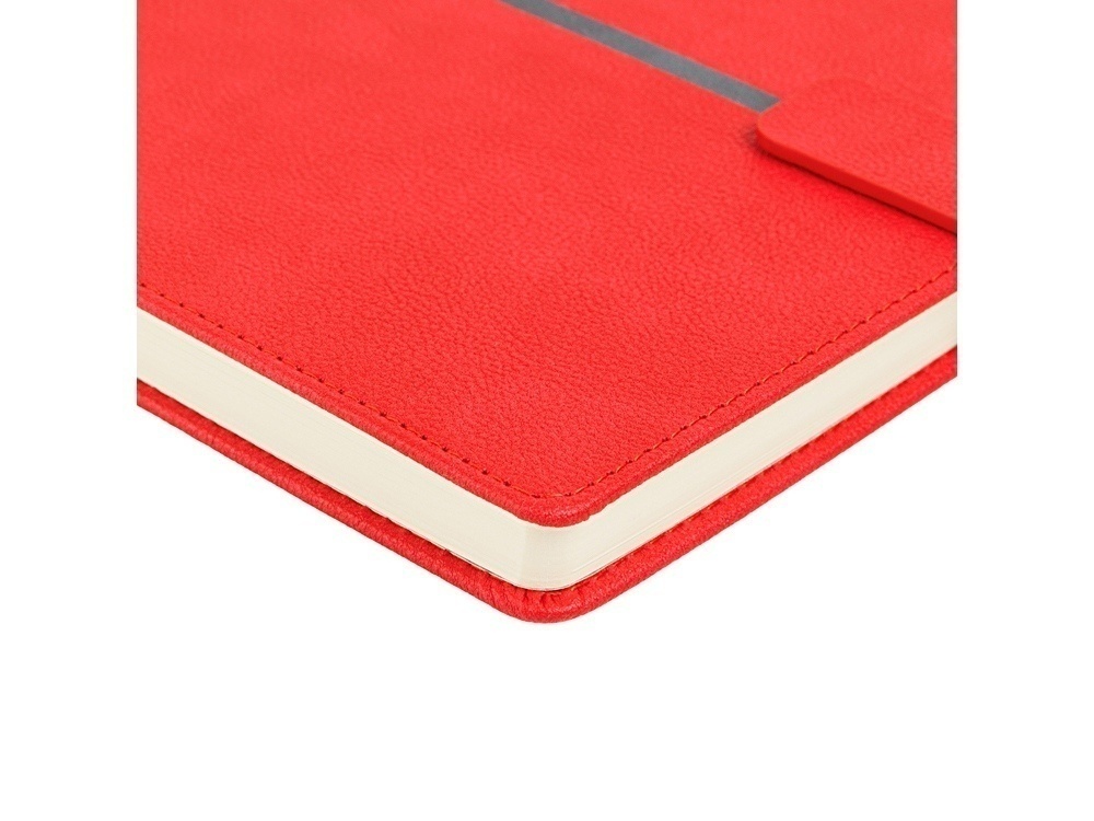 Ежедневник недатированный А5 Lyon