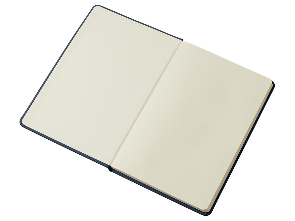 Блокнот в твердой обложке A5 Виспи в клетку