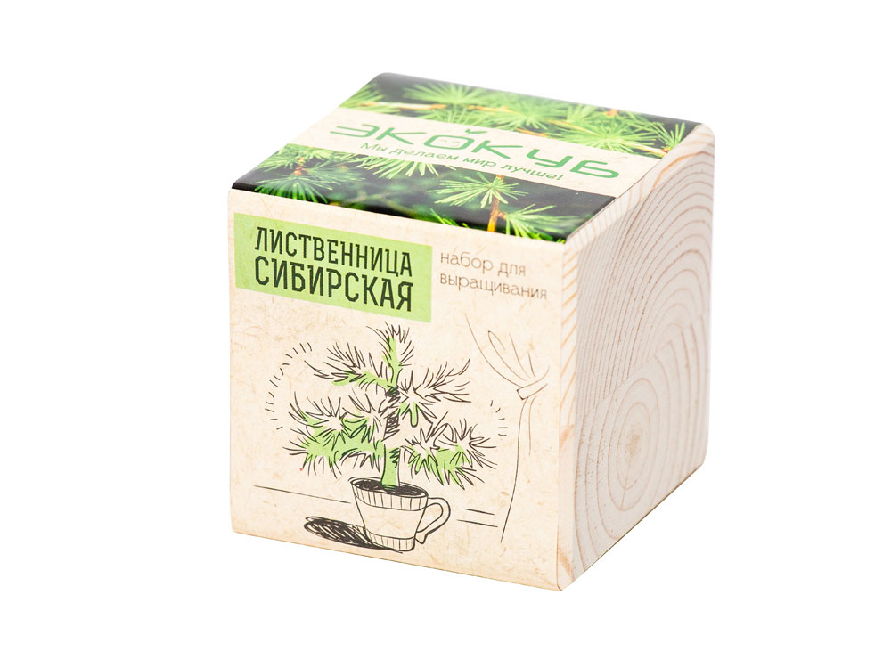 Набор для выращивания Базилик