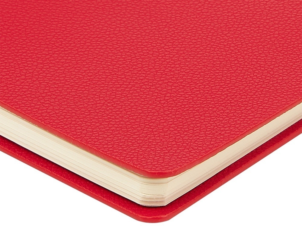 Ежедневник недатированный А5 Alba