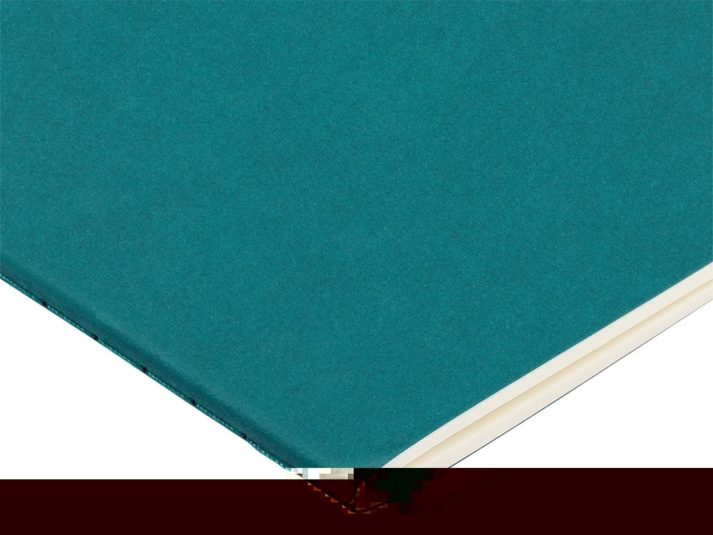 Бизнес тетрадь А5 Pragmatic