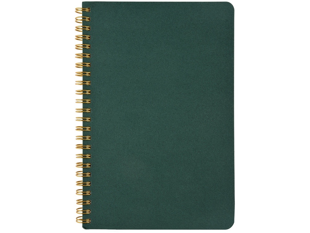 Бизнес тетрадь А5 Pragmatic