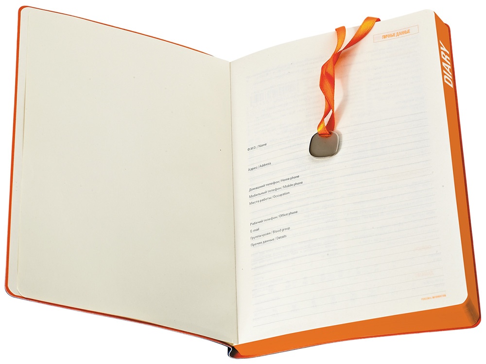 Ежедневник недатированный А5 Mercury